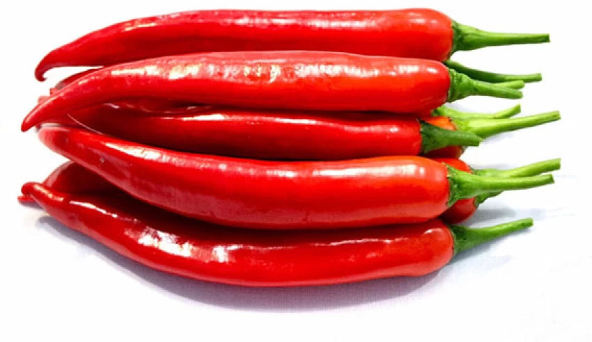 Big Chilly Red 500g