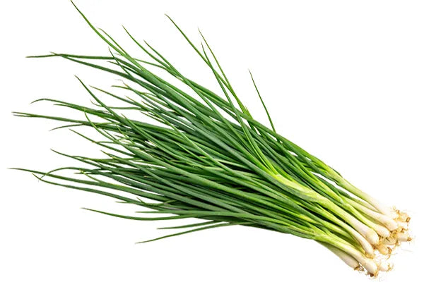 Spring Onion 500g