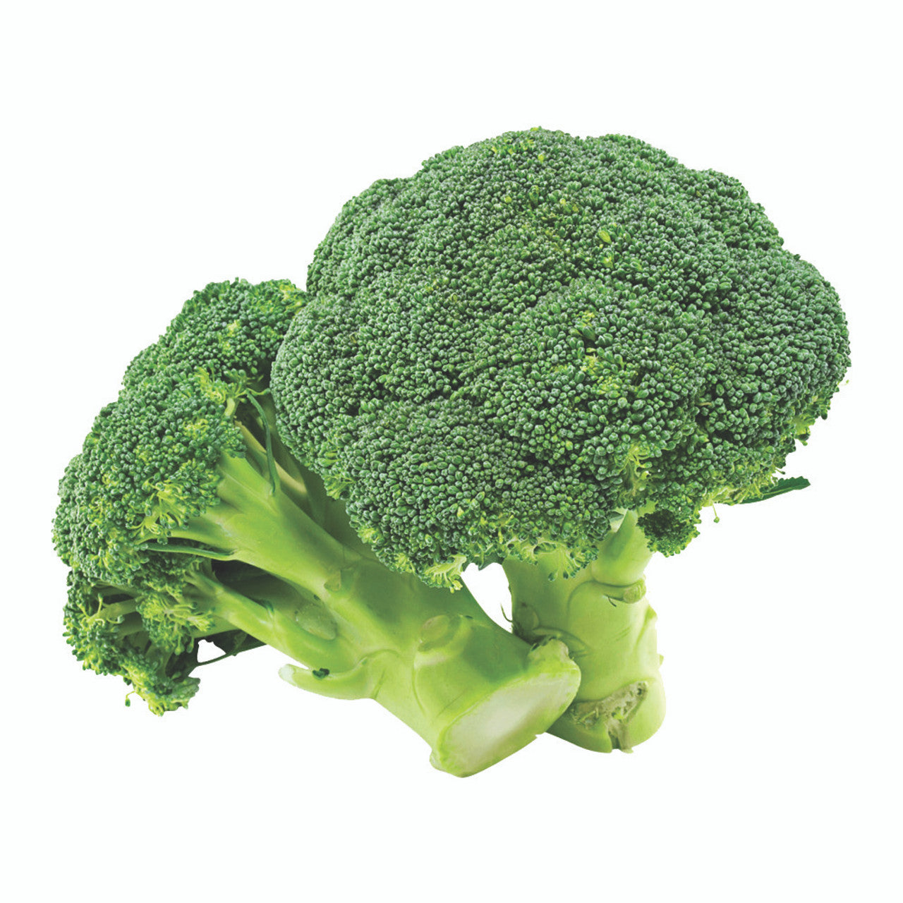 Broccoli 1pcs
