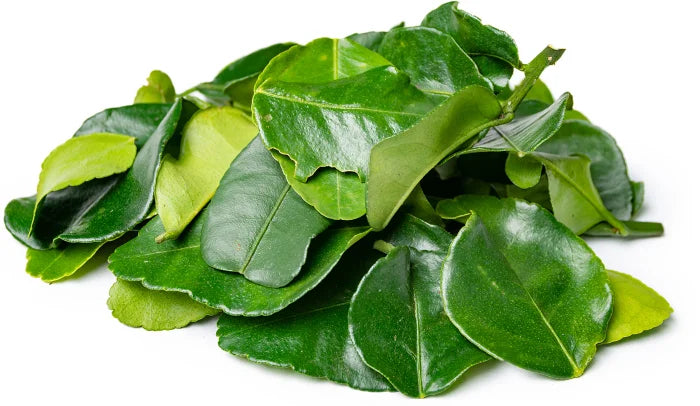 Kaffir Lime Leaf 500g