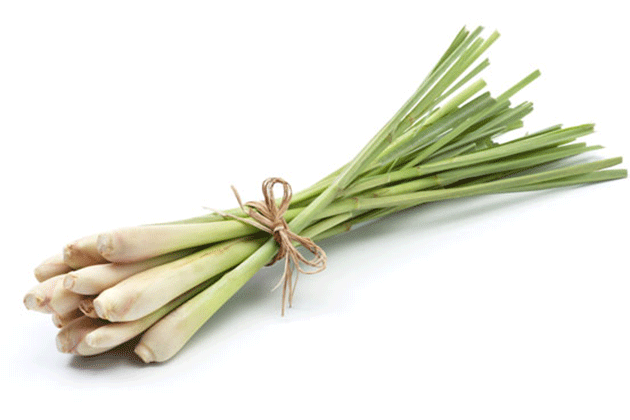 Lemongrass 500g