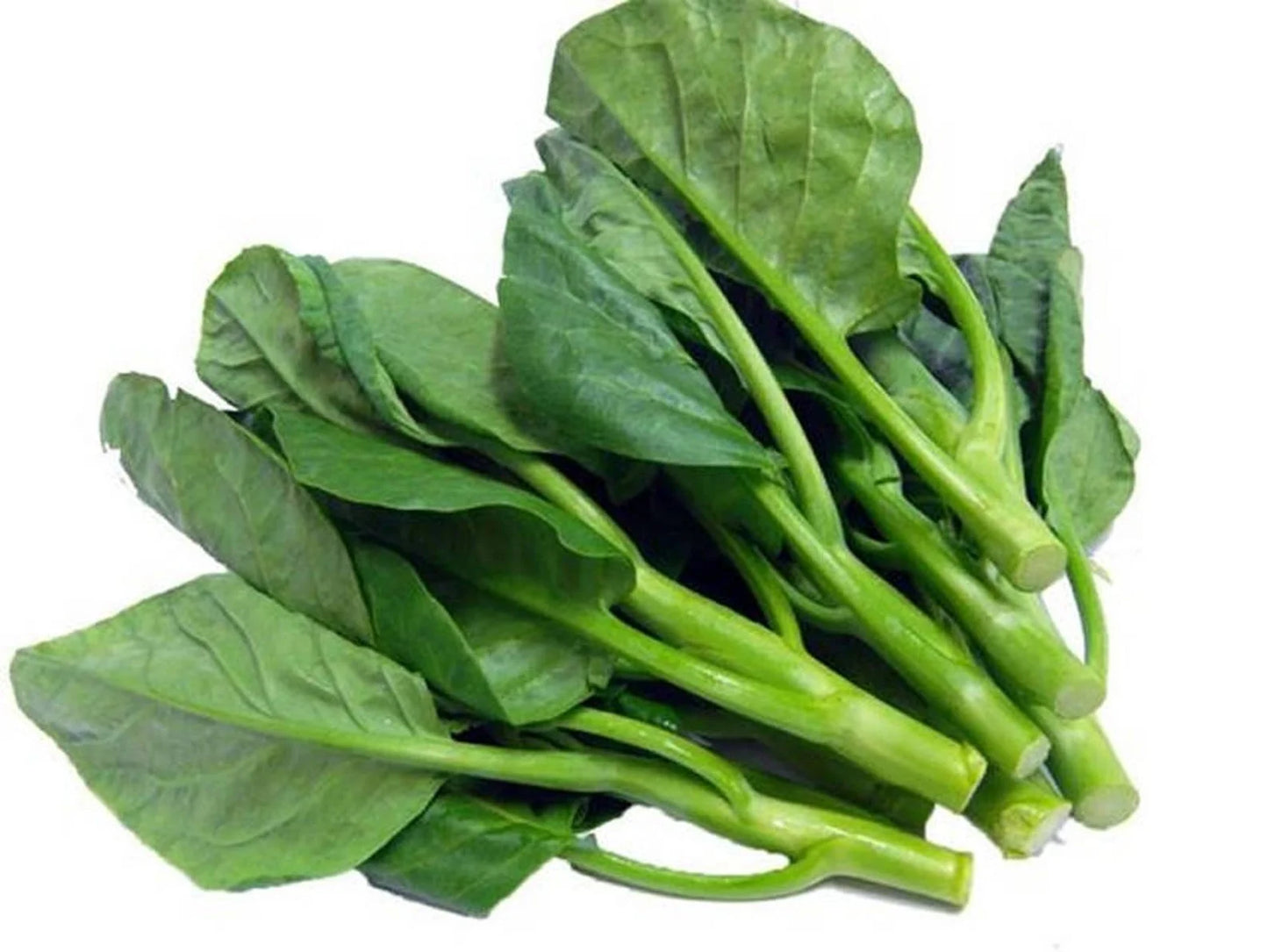 Chinese Kale 500g