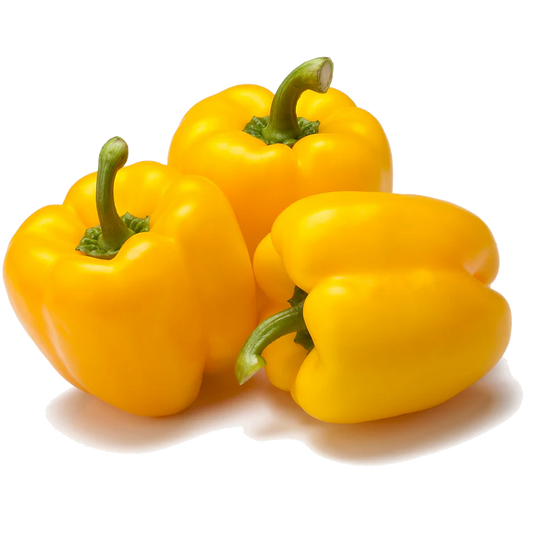 Bell Pepper Yellow  500g