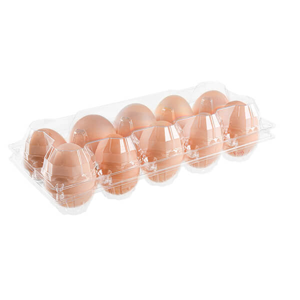 Premium Eggs- 10 Pcs (Grade B)