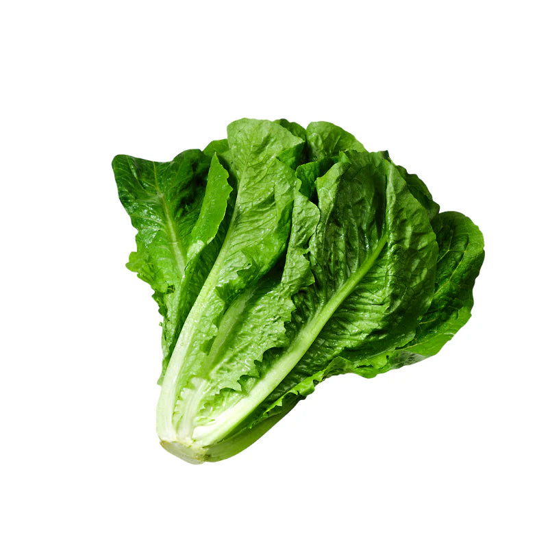 Italian Lettuce 250g