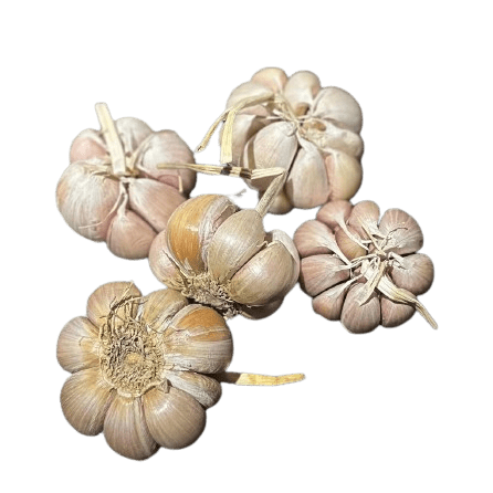 Garlic- 500 Grams